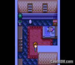 Sansara Naga 1x2 Game Boy Advance - Prix - Photo - Présentation